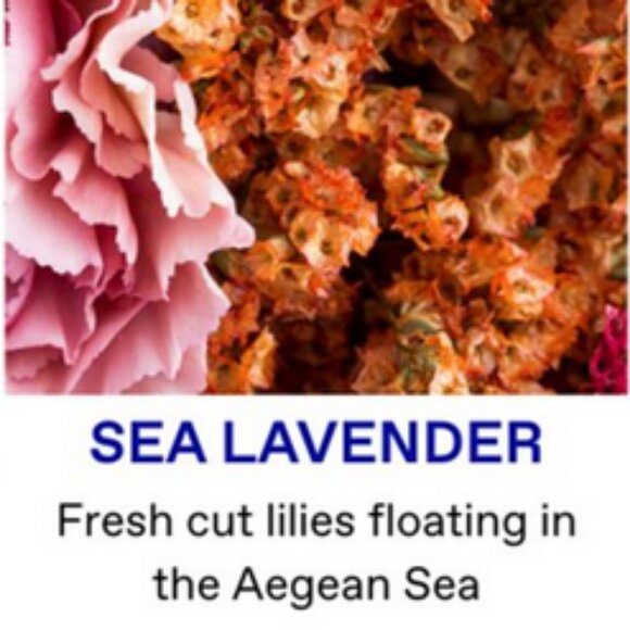 Korres Sea Lavender Body Cleanser & Body Butter/Perlier Shea Butter Body Mousse - Picture 3 of 3